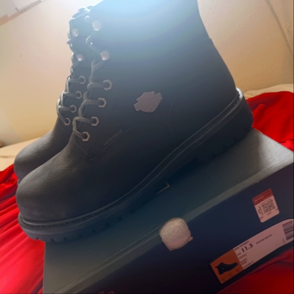 BRAND NEW... NEVER WORN.  Mens size  11.5 Harley Davidson steel toe boots